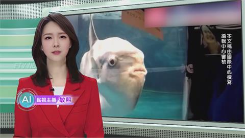 敏熙報氣象／真寂寞！　水族館整修無遊客 「窗前擺假人」治翻車魚憂鬱