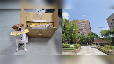 快新聞／搜救犬Wilson死因疑雲仍未解！花蓮縣政府嗆提告　農業部出手了