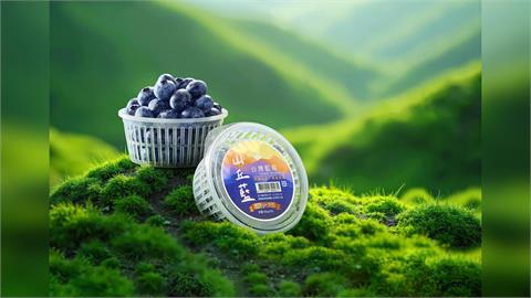 昨天還在樹上的藍莓！2026山丘藍產季開始！來自阿里山的現摘藍莓 每日產地直送