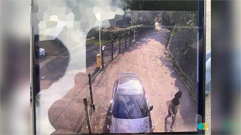 快新聞／通緝犯開車撞人「棄車逃逸」　三峽警連開2槍追捕畫面曝