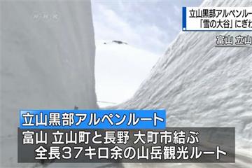 日本立山黑部開放 遊客賞17公尺高雪牆