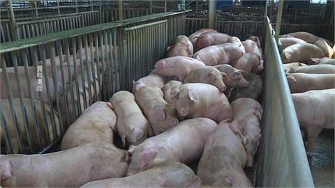 高雄加碼補助豬肉攤商1.5萬 每攤最高可領4.5萬