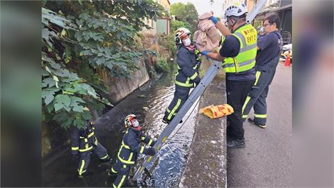 快新聞／棄嬰陳屍2米深排水溝　警找到生母「25歲外籍女移工涉案」