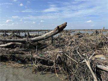 颱風釀海水倒灌沖倒彰化蚵棚　漁業署：每公頃補助３‧３萬