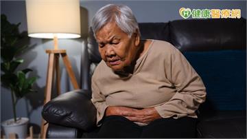 抗生素停藥後容易拉肚子？「低纖飲食」恐助困難梭菌趁虛而入！