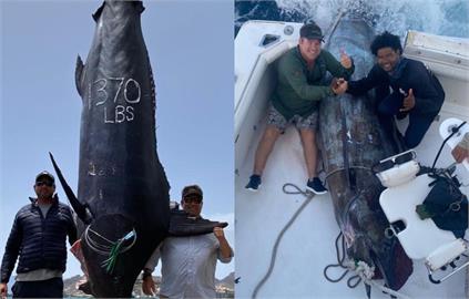 大西洋第二大！3漁夫搏命半小時　釣到「621KG巨魚」身價至少12億