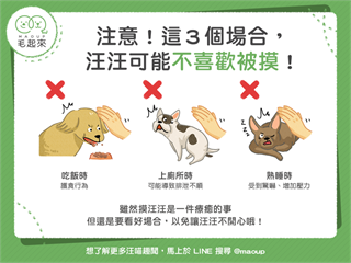 【飼主看過來】注意！這三個場合，汪汪可能不喜歡被摸！