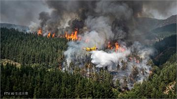 比利時爆史上最大森林大火　歐盟緊急派飛機馳援