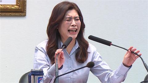 鄭麗文瞎喊「台灣不是一個國家」！王丹揪1關鍵批奇葩邏輯：乾脆帶國民黨遷都重慶