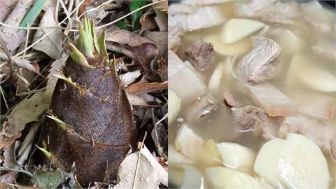 竹筍排骨湯「美味料理」祕訣！內行人曝「實用2招」鮮甜可口去苦味