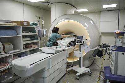 快新聞／貓熊「團團」後肢無力、食慾下降　再度接受腦部MRI檢查