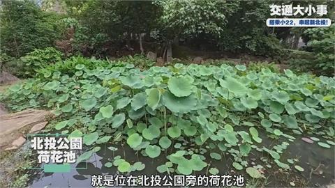 北投最美荷花池登場　搭小22輕鬆解鎖秘境景觀