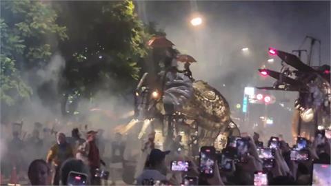 "大象來了"引亂象! 人潮爆滿動向亂民眾踩踏花圃
