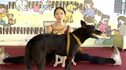 毛孩一起伸展！臺北動保教育月推廣「人寵瑜珈」
