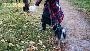 帶狗狗如廁遭休旅車輾壓！44歲婦肋骨斷21根　醫搶命14天救回