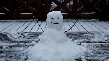 阿里山真的下雪了！ 美麗雪景稍縱即逝