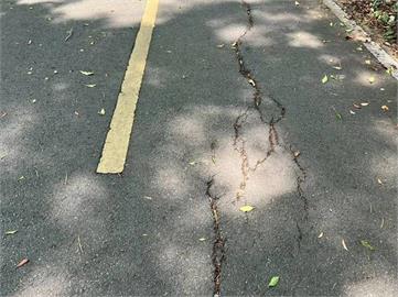 快新聞／安全嗎？台中自行車道被揪5缺失　議員怒了：市府缺乏長期願景