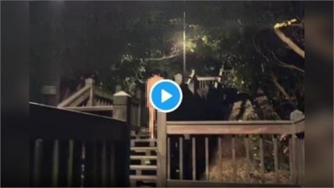 快新聞/北市南港公園竟出現「溜鳥」男 目擊民眾驚呼:變天體營?