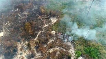 失控的地球之肺！亞馬遜雨林大火造成生態浩劫