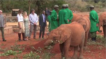 川普妻子梅拉妮亞參訪肯亞 險遭小象衝撞