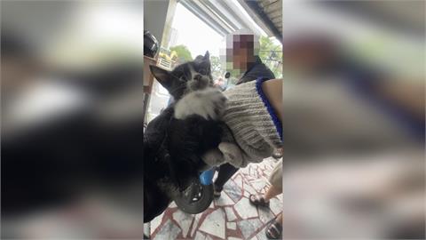 快新聞／颱風天化身喵星人救援隊　鶯歌暖警「機車頭燈」救出受困小貓