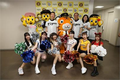 阪神虎舉辦台灣日　交通部長陳世凱赴甲子園開球推廣觀光