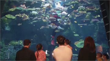 曼谷水族館扮耶老潛水餵魚 家長小孩開心搶參觀