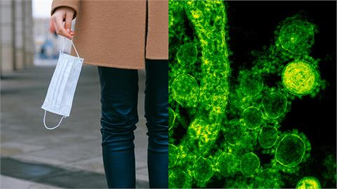 中國爆新病毒無特效藥！人類間質肺炎病毒、蘋果病、黴漿菌、RSV分辨4病症一次看