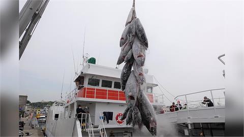 日本「遠洋鮪魚漁夫」錄取人數創新高 名校畢業生搶加入