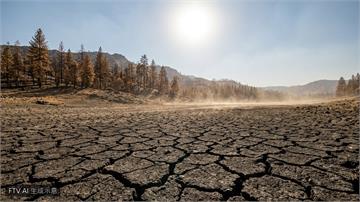 地獄熱浪狂襲！歐美多國飆破40度　爆野火、奪上千命