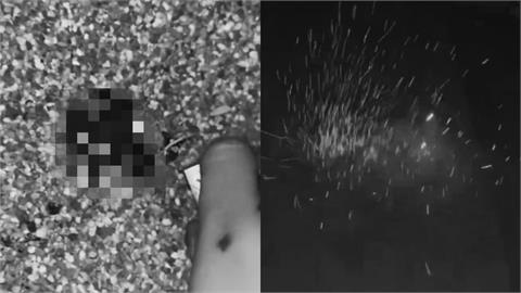 2高工生想紅拿「鞭炮塞青蛙」點火引爆惹眾怒！移送保七偵辦最慘下場出爐