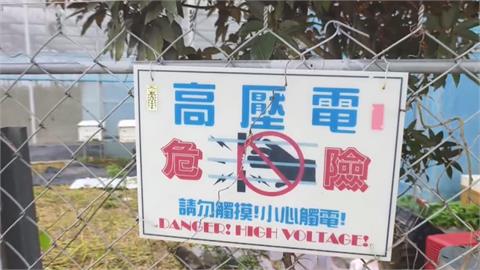 猴害! 侵門踏戶農民喊苦 電網好用須抽籤僧多粥少
