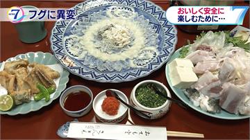 河豚棲息地改變 北海道樂推料理振經濟