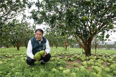 快新聞／農民欲哭無淚！「丹娜絲」破壞逾萬頃農作物　全台損失衝破15億