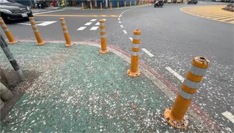 天降黃金雨！上萬隻家燕棲息潮州圓環　鳥屎炸彈來襲