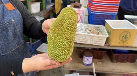 快新聞／超荒謬！基隆民宅深夜飄濃厚瓦斯味　兇手竟是它