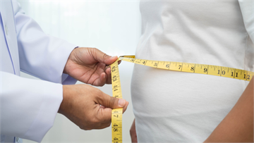 內臟脂肪過高「讓人變笨」？  研究示警：泡芙人族群最危險　大腦恐受到10種損害