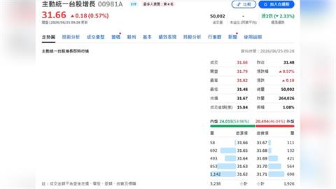 GDP衝15年新高帶旺台股　00981A近一年漲逾200%稱冠主動ETF