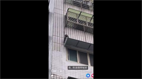 南投草屯市區有猴出沒　農業處研判：被趕出的孤猴