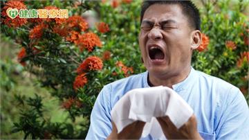 噴嚏、鼻水不斷竟不是感冒！醫：恐與過敏性鼻炎有關