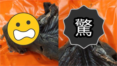 行李箱藏「木乃伊」偷帶入境遭逮！猙獰模樣吸200萬人朝聖…他竟辯：只是食材