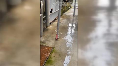 不堪洗衣店排放廢水+噪音　環保局查不到違規竟因「這原因」？