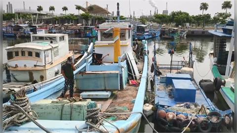 「浸豬籠」丟幼貓入海網友炸鍋　凶手找到了、不認虐死