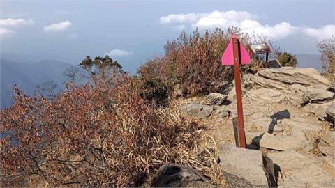 比兩年前的百年大旱還乾　屏東北大武山步道植物枯黃