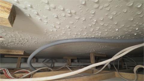 花千萬買新屋竟潮濕到長菇? 疑樓上租客冷氣調最低溫導致