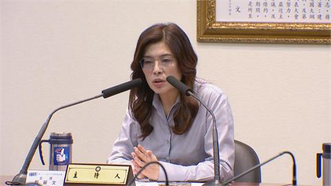 快新聞／鄭麗文終於認了！訪美經費「也由國庫支付」　竟比見習近平花更多錢