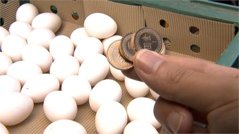 進口蛋名聲臭害國產蛋需求降？　週四起雞蛋批發價降3元