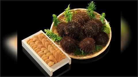 天價！日本海膽400克台幣716萬　拍出史上最高價
