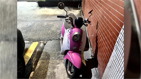 中壢賊偷小綿羊跑給警追　警溫情喊話：別跑了會受傷