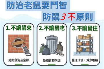 台北防治鼠害　環境部提4點精進建議